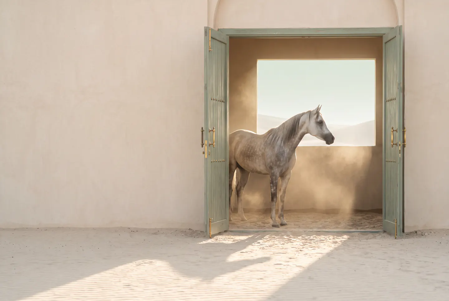 A grey Arabian mare in a sunlit stable doorway at Al Jiyad